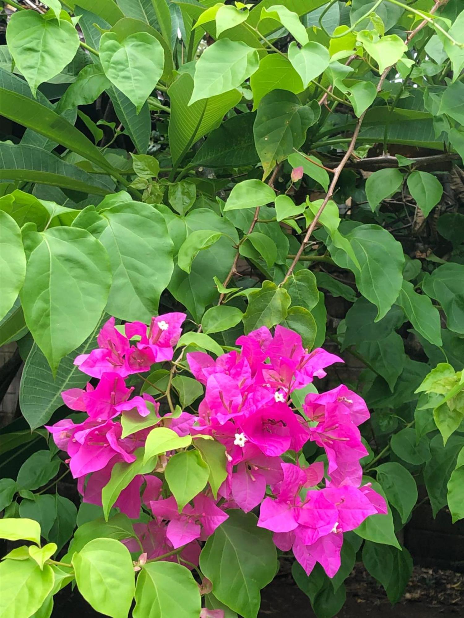 Villa Kelana 希德门 外观 照片