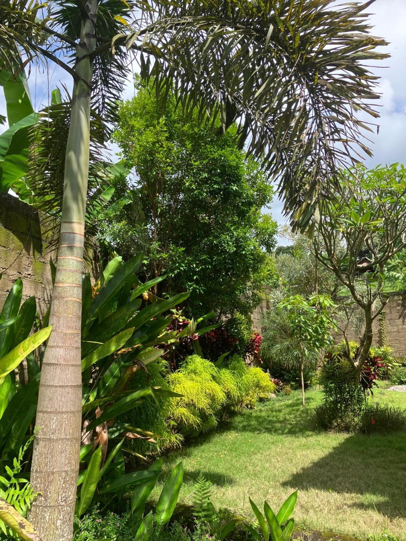 Villa Kelana 希德门 外观 照片
