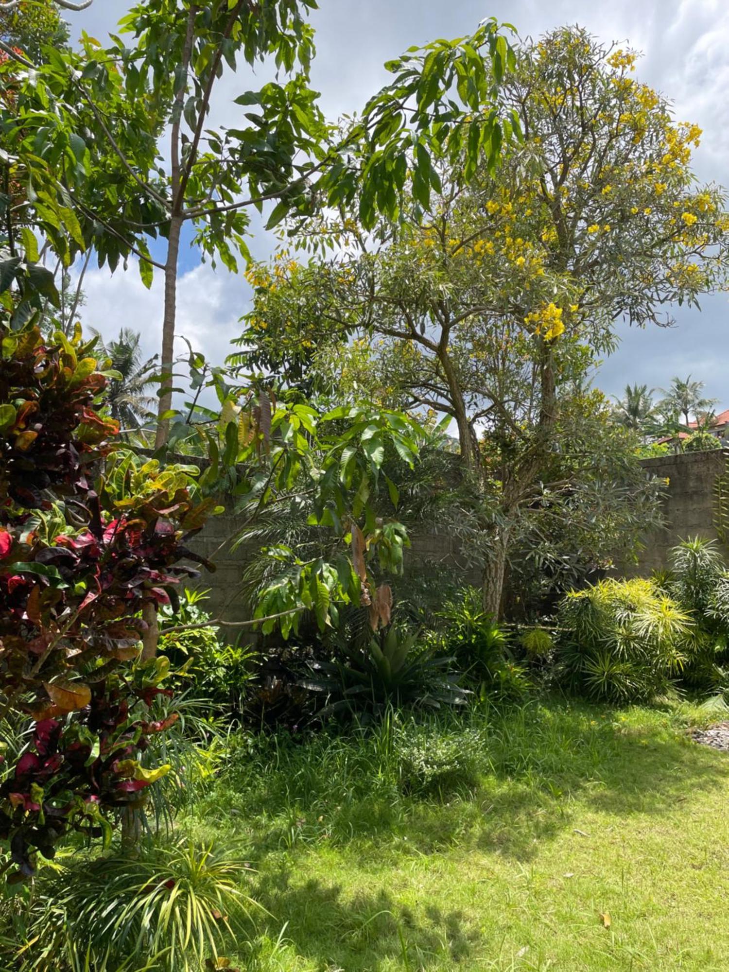 Villa Kelana 希德门 外观 照片